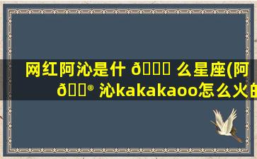 网红阿沁是什 🐝 么星座(阿 💮 沁kakakaoo怎么火的)